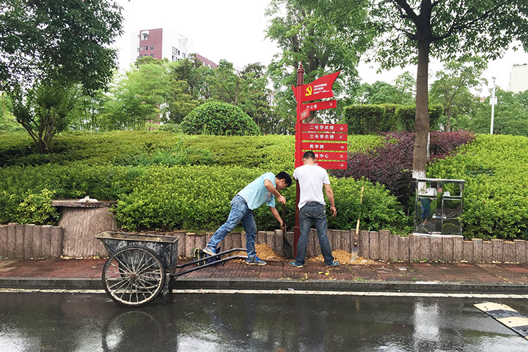 �Lɳ������R